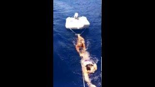 Bikini accident with sailing......almost !!