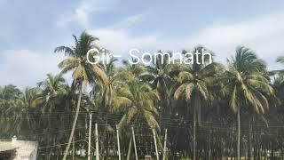 Gir-somnath