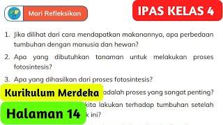 Jika Dilihat Dari Cara Mendapatkan Makanannya, Apa Perbedaan Tumbuhan dengan Manusia dan Hewan