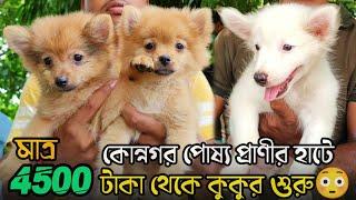 Konnagar Pet Market| Recent Dog Puppy Price Update | Konnagar Pakhir Haat | Konnagar Dog Market