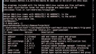 Debian in qemu-system-mipsel 1.5.1 under Windows 8 host