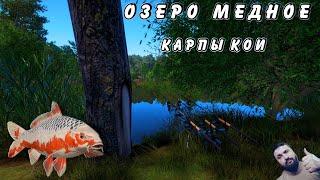 Озеро Медное Карпы Кои. Русская Рыбалка 4