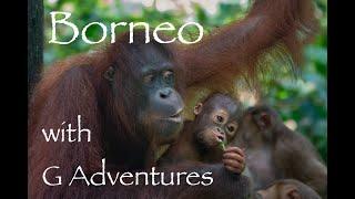 Borneo East Sabah - 8 day tour with G Adventures.