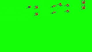 Green screen 2D bird flying Animation.