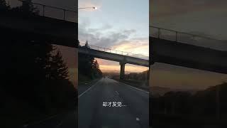 新西兰的清晨，Early morning in New Zealand 8 January 2024