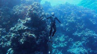 Freedive Dahab | Egypt | 2022