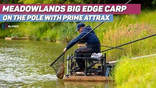 Meadowlands Fishery BIG Edge Carp with Prime Attrax | Paul Holland