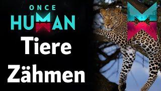 Zähme die WILDESTEN Tiere in Once Human!