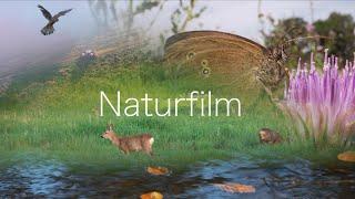 Naturfilm 2021