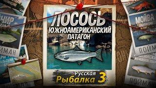 "Мутант" Лосось Южноамериканский + Дорадо Золотой. Патагонское Озеро. Русская Рыбалка 3.