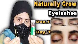 How to Grow Longer & Thicker Eyelashes Fast | Castor Oil Before & After