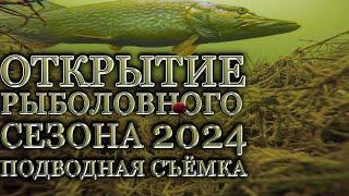 Открытие рыболовного сезона 2024 Подводная съёмка