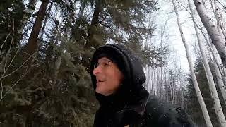 Trapping Trails 2024 Part One