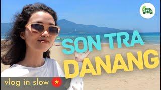 Vlog in slow Vietnamese | Son Tra peninsula | Bán đảo Sơn Trà