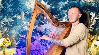 Enchanted Forest Harp Meditation - Rest, Relax & Sleep Peacefully - Healing Dreams Celtic Harp Music