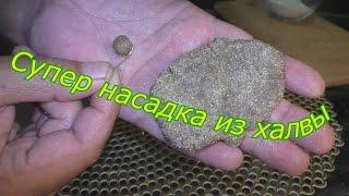 Супер насадка из халвы для ловли карпа и карася.  My fishing.