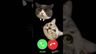 MI TELEPON SOUND EFFECT THREE  CAT EP.33 #ringtone #smartphone #ringtones