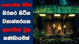 “The Watchers (2024)" සිංහල Movie Review | Ending Explained Sinhala | Sinhala Movie Review