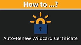 How to Setup Auto-Renew for Letsencrypt WILDCARD Certificate with DNS challenge? acme-dns | certbot