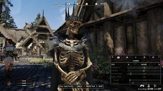 Skyrim- SkyFantasy Modlist 4600+ mods Ep.0- Ufedan Grave-Bringer- Necromancer- Test Stream