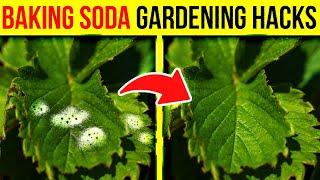 8 Amazing Ways to Use BAKING SODA in the Garden 