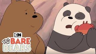 We Bare Bears | Friendship Moments - Part 3 (Hindi) | Cartoon Network