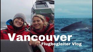 Whale watching in Vancouver - Endlich sehe ich Sarah wieder / Flugbegleiter Vlog - andreaabaam