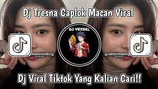 DJ TRESNA CAPLOK MACAN VIRAL TIKTOK TERBARU 2025!!