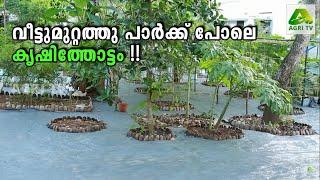 വീട്ടുമുറ്റത്തു പാർക്ക് പോലെ  കൃഷിത്തോട്ടം  ! | BEAUTIFUL KITCHEN GARDEN KERALA