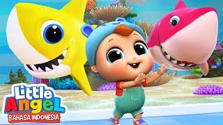 Baby Shark duu duu | Lagu Anak - Bayi Hiu | Little Angel Bahasa Indonesia