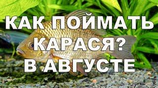 #рыбалка Как поймать карася? В августе.