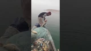 صيد الاسماك في نهر الفرات شاهد خيرات العراق