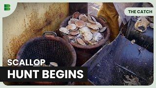 Skipper's Gamble for Scallop Gold - The Catch - Fishing Show