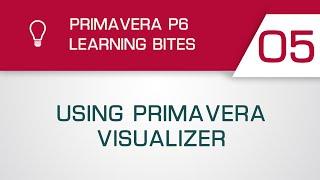 Primavera P6 Learning Bite 5 - Using Primavera Visualizer