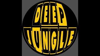 Deep Jungle Records Mix (Mixed by Jungle Labs)