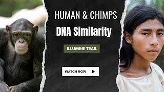 Human and chimpanzee DNA similarity….#facts #science #planetaryscience #animals #animalsvideo