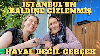 İSTANBUL'UN GÖBEĞİNDE AMA KARMAŞASINDAN UZAK BİR HAYAT MÜMKÜNMÜŞ - HAYAL DEĞİL GERÇEK!