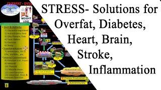 Solutions & How STRESS affects your Body