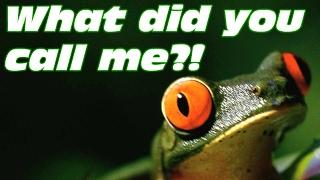 VLOG: What did you call me?! (How my son says the word "Frog")