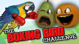 Annoying Orange - The Boxing Bird Challenge!