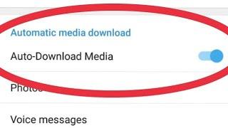 Telegram || How To Fix Auto Download Media Problem Solve