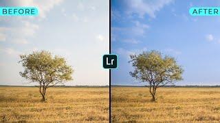 Lightroom Basics: Linear Gradient