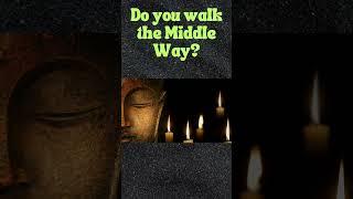 Do you walk the Middle Way? #megsmagicalmansion #middleway #buddhism #buddha #buddhateachings