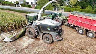 Maisernte 2024 mit Claas Jaguar 980 Fendt 936,1050