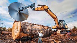 Extreme Dangerous Fastest Big Chainsaw Cutting Tree Machines | Monster Stump Removal Excavator #31