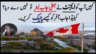 How to check Canada Job Offer Letter | LMIA | FTWP | Work Visa | Immigration