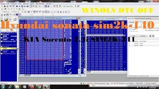 26) Hyundai sonata sim2k-140 & KIA Sorento 2.4i SIM2K-341 P200A WINOLS DTC OFF