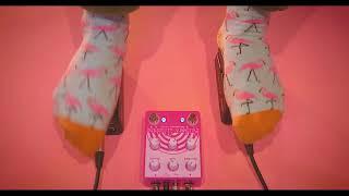 Little Tybee's Josh Martin Demos Earthquaker Devices Rainbow Machine