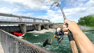 Fishing a BIG SPILLWAY with TINY Live Bait..