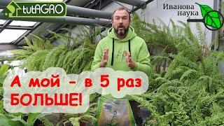 В 5 РАЗ ДЕШЕВЛЕ, ЧЕМ У ИЗВЕСТНОГО ПРОИЗВОДИТЕЛЯ! ОРГАНИЧЕСКАЯ ДОБАВКА К ПОЧВЕ и В ЛУНКУ - для урожая